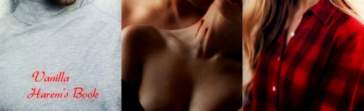 PLAY BOY (Serie The Storm#4) di Samantha Towle. Recensione