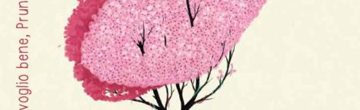 Anna Lavatelli: proposte di lettura per i lettori più piccoli ed esigenti