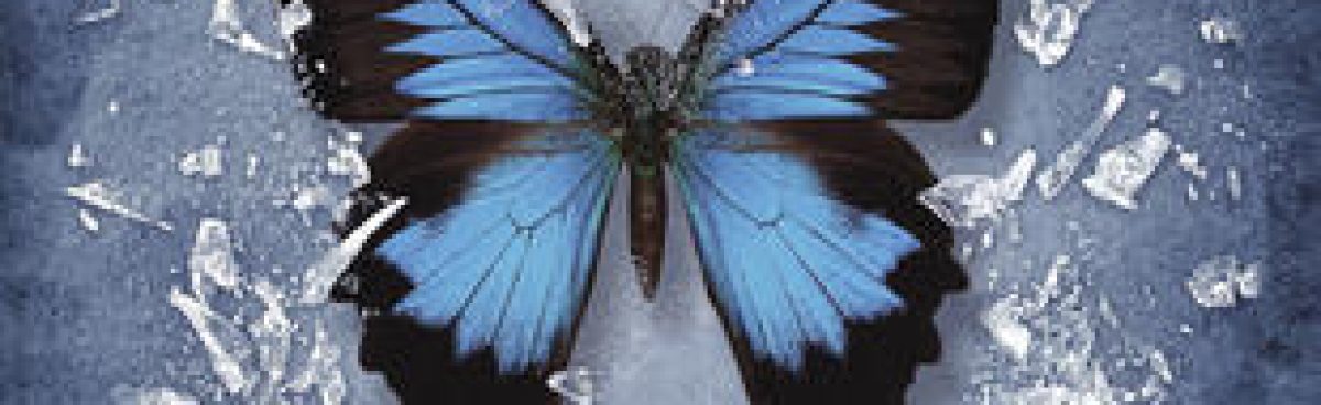 Ancora un disastro Almost beautiful di Jamie McGuire