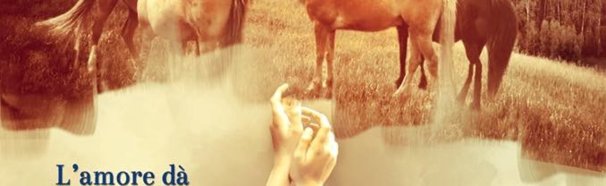 Tappa HAREM BLOG TOUR LA STRADA PER LA FELICITÀ di Silvia Mango