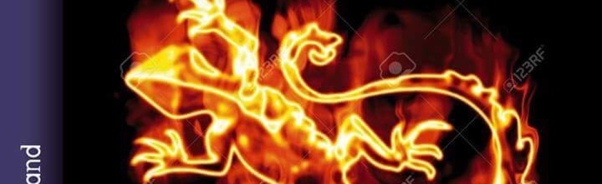 ‘IL FIORE DI SINMARA’ di Maddalena Cafaro. I GUARDIANI DI YGGDRASIL #2.Recensione