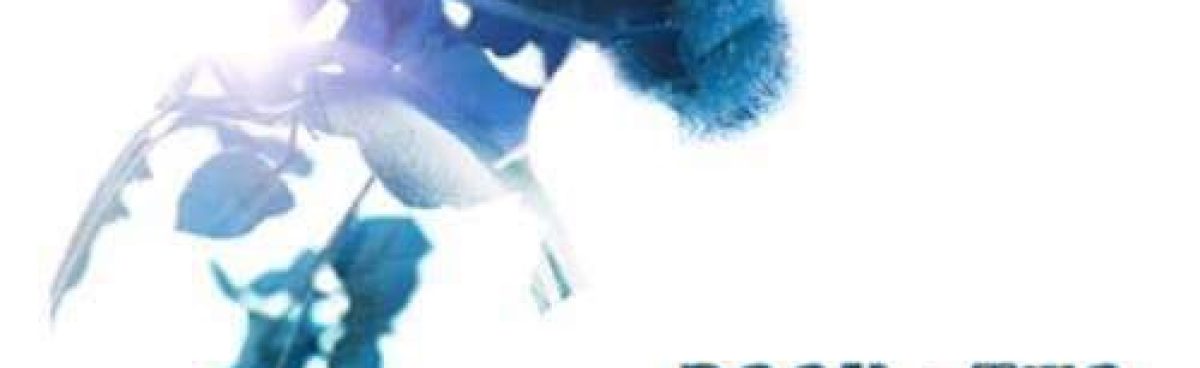 Macana di Aurora r. Corsini &#8211; &#8220;Spencer Cohen 2&#8221; di N. R. Walker per Triskell Edizioni