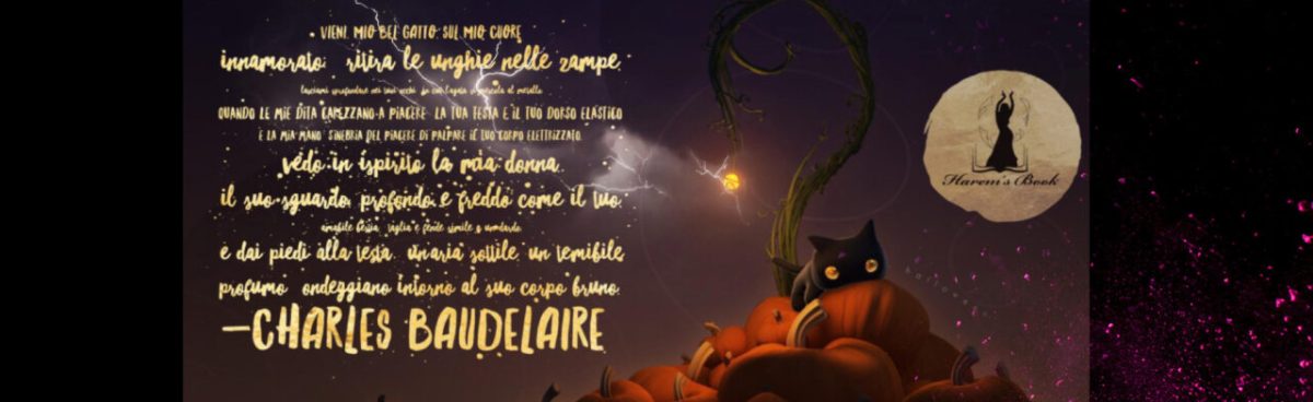 Happy Halloween!
