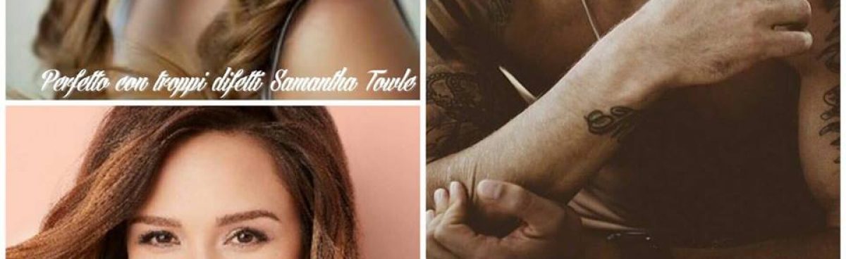 PERFETTO CON TROPPI DIFETTI(Serie The Storm) di Samantha Towle-Recensione